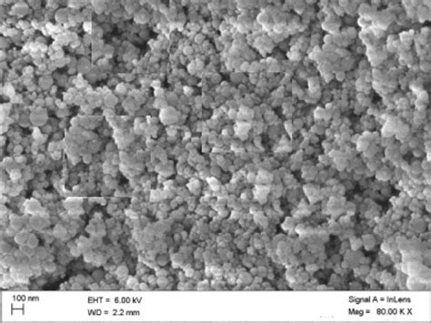 SEM image of the SiO2 nanoparticles | Download Scientific Diagram