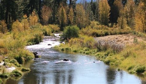 DIY Guide to Fly Fishing the Feather River (Middle Fork) in California | DIY Fly Fishing