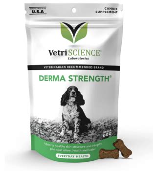 14 Best Skin & Coat Supplements For Dogs in 2024