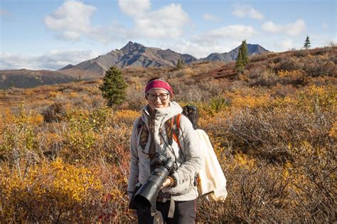 The Van Escape - Camping in Denali National Park