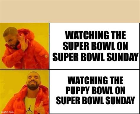 Puppy bowl is better than Super Bowl - Imgflip