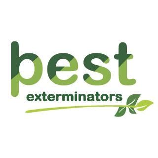 The Best Pest Exterminators