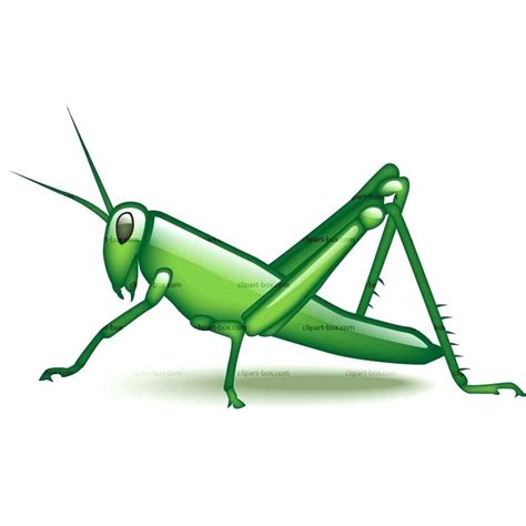 Collection of Grasshopper clipart | Free download best Grasshopper ...