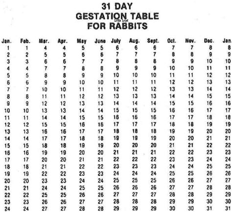 K&Z Supplies Rabbitry - AKA Ketapang Bunnies: Rabbit Pregnancy & Gestation Table