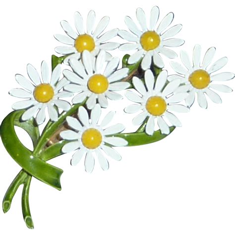 Daisy clipart daisy bouquet, Daisy daisy bouquet Transparent FREE for download on WebStockReview ...