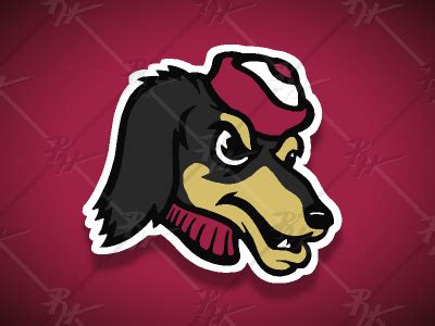 Vintage Style Southern Illinois Salukis Mascot Logo by Ross Hettinger ...