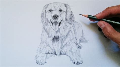 Dibujos De Perros Para Dibujar A Lapiz Faciles Beagle A Lapiz Dibujos Perros Dibujos A Lapiz Dibujos