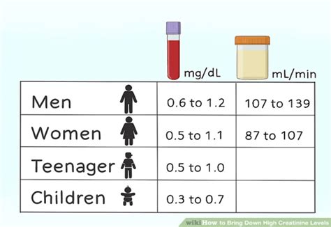 How to Reduce Creatinine Levels: High Creatinine Remedies - Just Credible