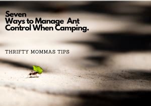 7 Ways to Manage Ant Control on a Camping Trip - Thrifty Mommas Tips