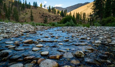 Planning A Idaho River Rafting Trip?- Idaho River Adventures