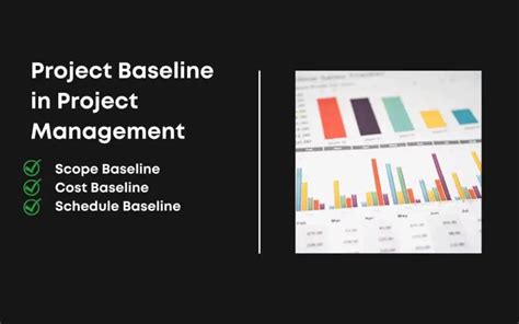 What is Project Baseline in Project Management | Types of Baseline