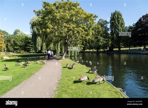 Beddington park hi-res stock photography and images - Alamy