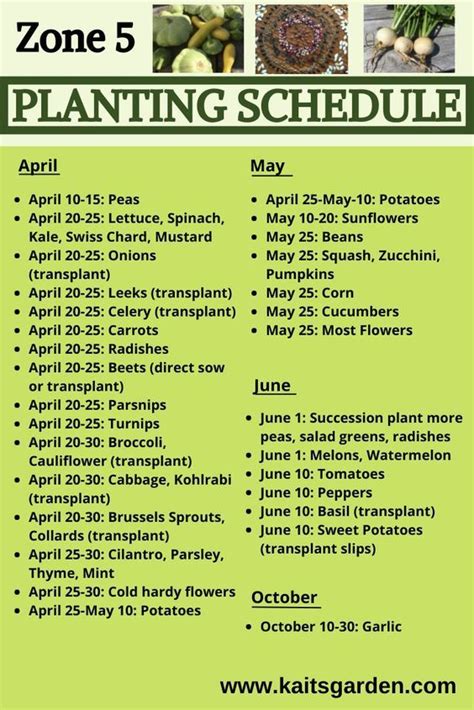 an advertisement for the zone 5 planting schedule, with pictures of various vegetables and plants