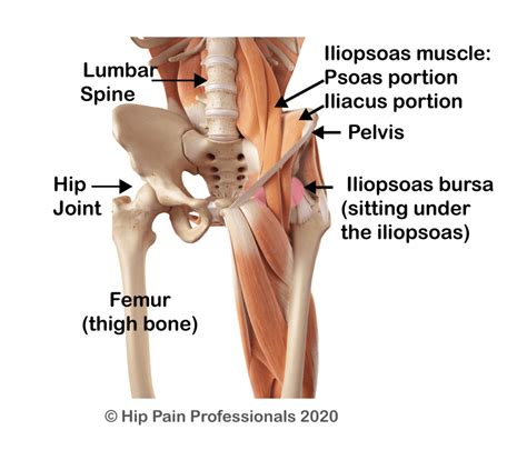 Hip Flexor Pain Causes