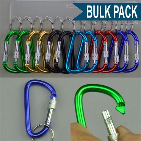 Carabiner Clip Keychain with Lock Bulk Pack