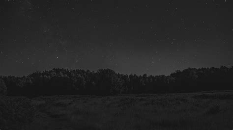 Forest Starry Night Monochrome Wallpaper, HD Nature 4K Wallpapers, Images and Background ...