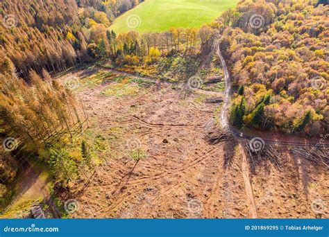 Mixed Forest Landscape with a Felled Area from Above Stock Image - Image of bork, needle: 201869295