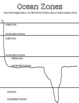 Ocean Zones Review Worksheet