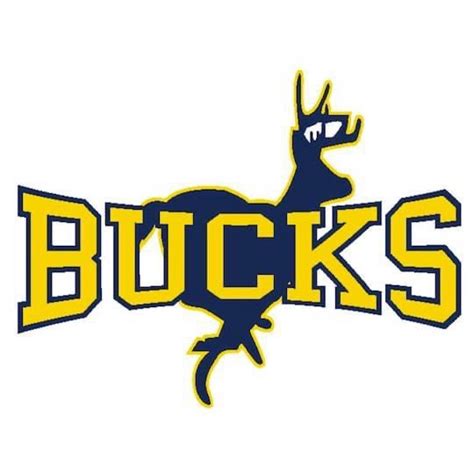 Buckhorn High School Baseball | New Market AL