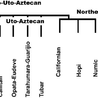 (PDF) Proto-Uto-Aztecans on their way to the Proto-Aztecan homeland ...