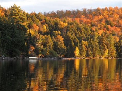 Algonquin Provincial Park, Canada in Autumn | Amusing Planet