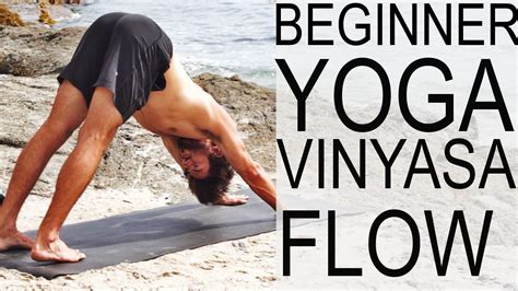 Beginner Vinyasa Flow Yoga With Tim Senesi | Yoga for beginners, Vinyasa flow, Vinyasa flow yoga