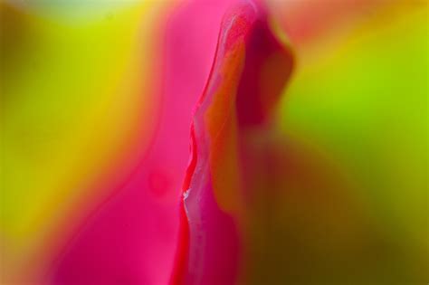 Colour Depth on Behance