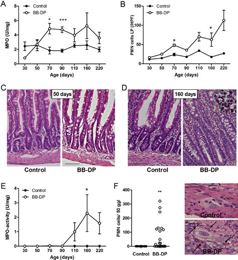 Intestinal inflammation. (A) From 70 days of age, the mucosal... | Download Scientific Diagram