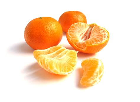 Florida Scientist Finds Promising Treatment For Deadly Citrus Disease ...