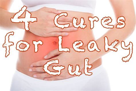 4 Cures for Leaky Gut - Healthy Focus