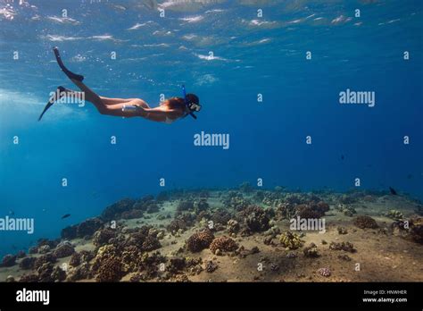 Underwater view of woman snorkeling, Oahu, Hawaii, USA Stock Photo - Alamy