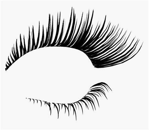 Eyelash Extensions Cosmetics Clip Art - Eyelashes Png, Transparent Png - kindpng