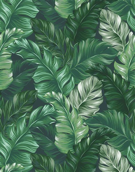 Tropical Jungle Leaf Wallpaper