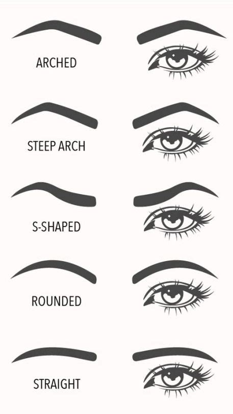 A visual guide to eyebrow shapes (With images) | Eyebrow shaper, Eyebrow makeup, Eyebrow shaping