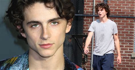 Has Timothée Chalamet Ever Tried To Pack On Muscle Or Does He Prefer ...