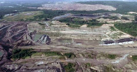 Indonesian coal mining firm gets its license reinstated despite a history of violations