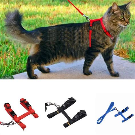 Cat Harness And Leash Hot Sale 5 Colors Nylon Products For Animals Adjustable Pet Traction ...