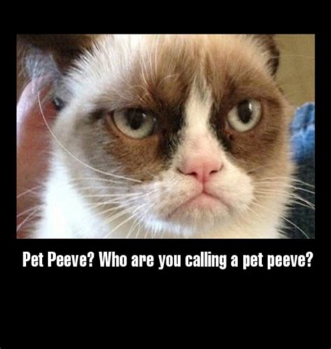 My Pet Peeve