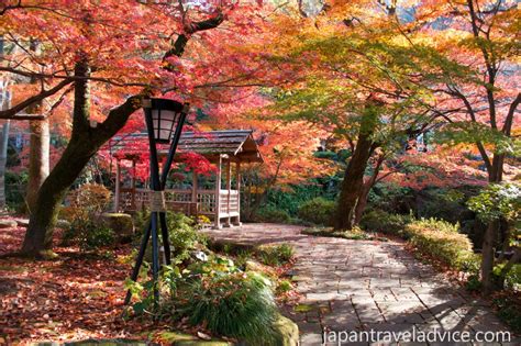 Autumn Colors Forecast 2015 in Japan | Japan Travel Advice