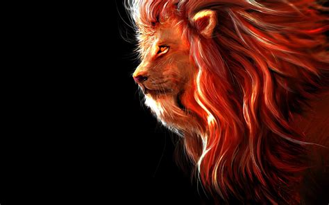 Lion Wallpaper 4k Download Free Hd Wallpaper 4k Ii Images And Photos ...