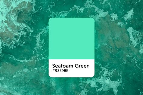 Seafoam Green Color Scheme