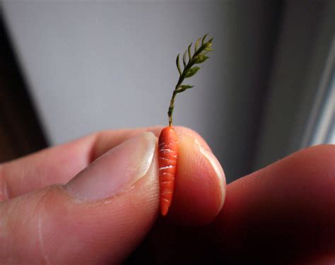 Tiny Carrot by vesssper on DeviantArt