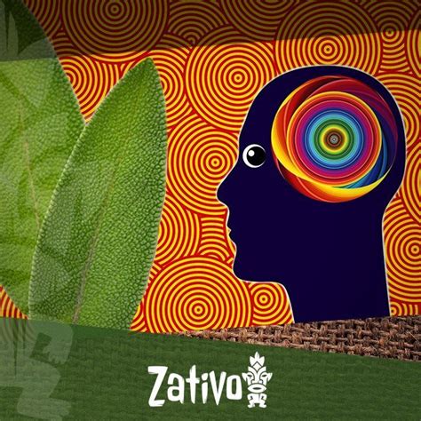 The Effects of Salvia Divinorum - Zativo