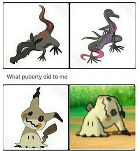 The best Mimikyu memes :) Memedroid