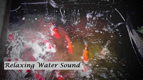 Relaxing Water Sound | 45 minutes water sound - YouTube