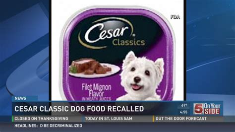 Is There A Recall On Cesar Dog Food