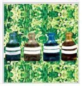 Menthol Oil at best price in Moradabad by Quality Flavours Export | ID: 3834465448