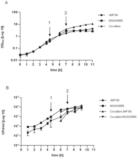 Bacterial growth was measured over time in 3 independent experiments by... | Download Scientific ...