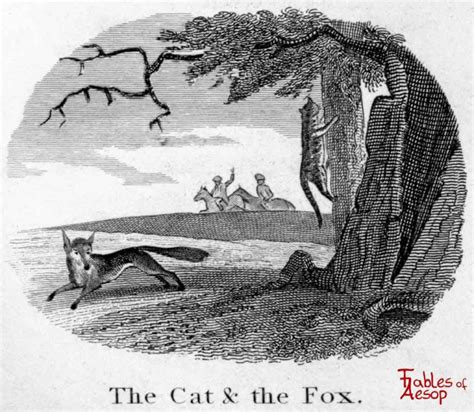 The Fox and The Cat - Fables of Aesop