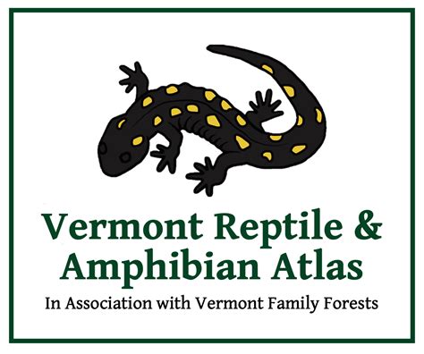 R. clamitans blue N. Arms | Vermont Reptile and Amphibian Atlas